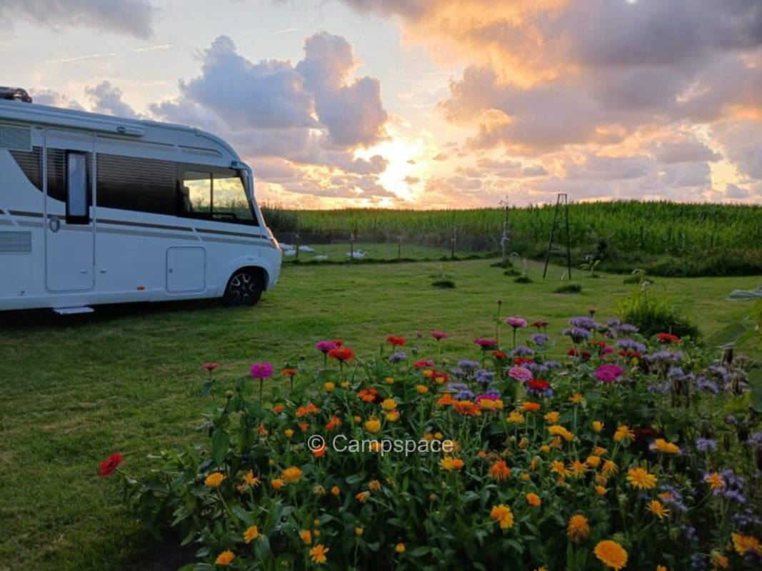 Kleine Oase am Bauernhof nähe Cuxhaven (Campspace 28970)