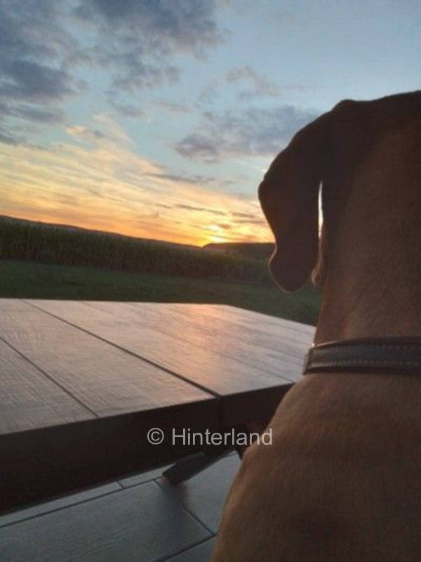 Den Sonnenuntergang genießen im Schwabenland 