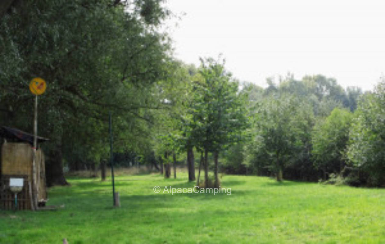 Tent site to camper site at the fall fruit meadow #1