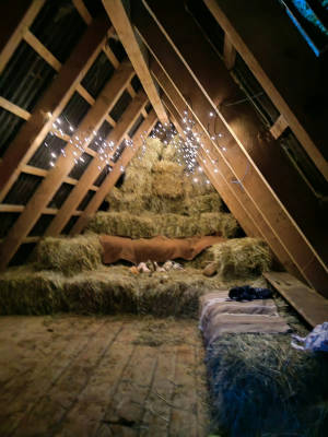Small hay barn with the animals