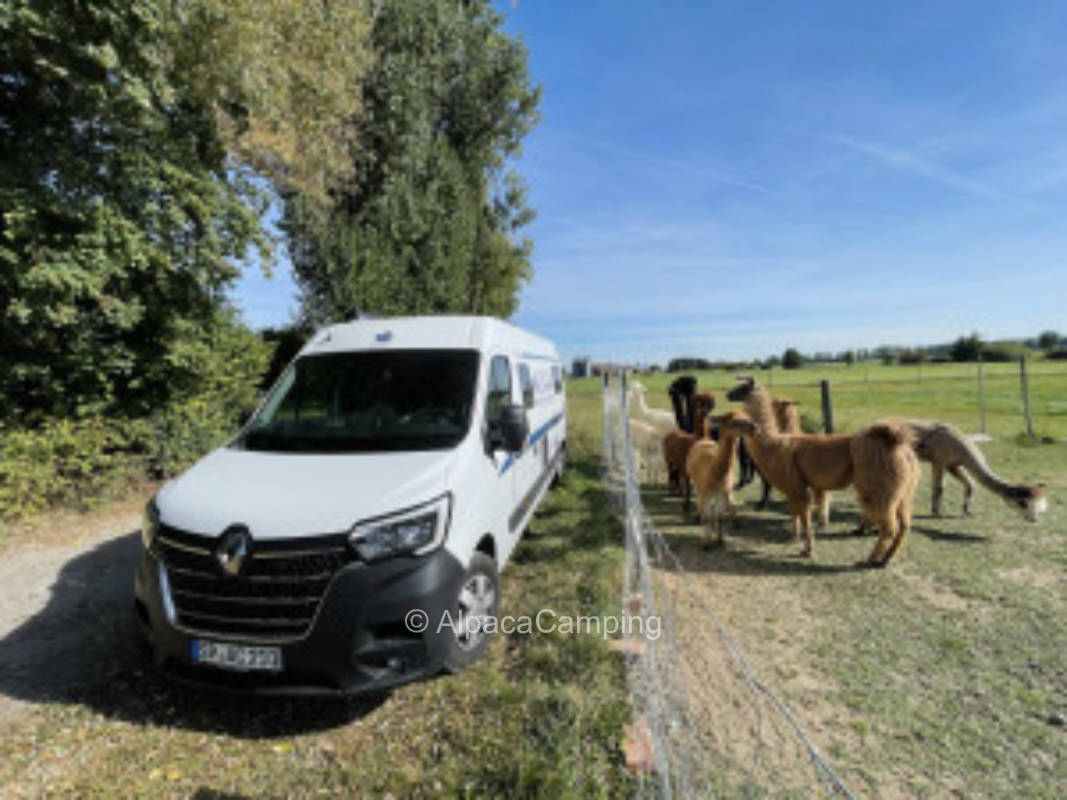 Stellplatz im Grünen #1