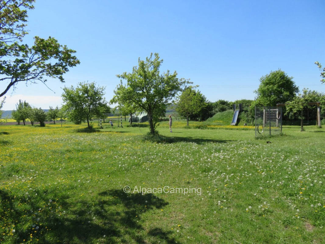 Far view on the fruit tree meadow behind the yard #1