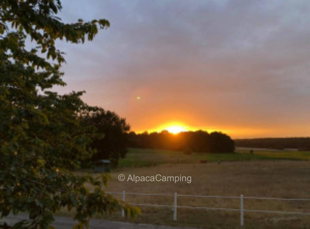 Blick über Wiesen und Wald  #1