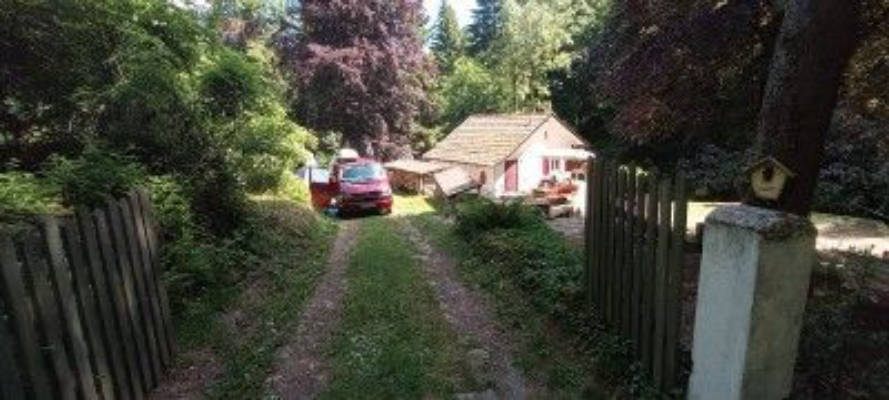 Wald-Stellplatz für kleinen Camper oder Zelt