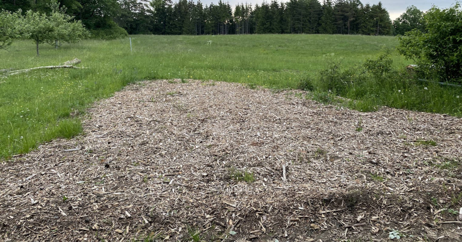 Forest corner "Finch flight