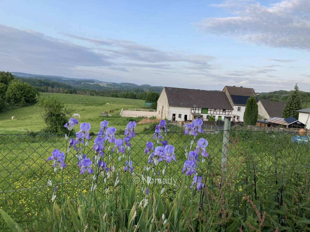 Offenstall Schwellenbach