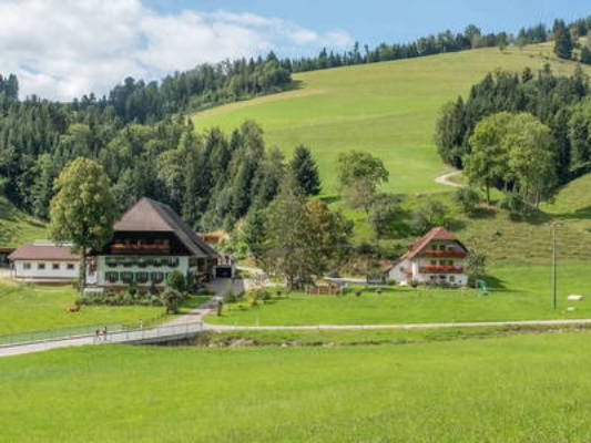 Schlegelhansenhof