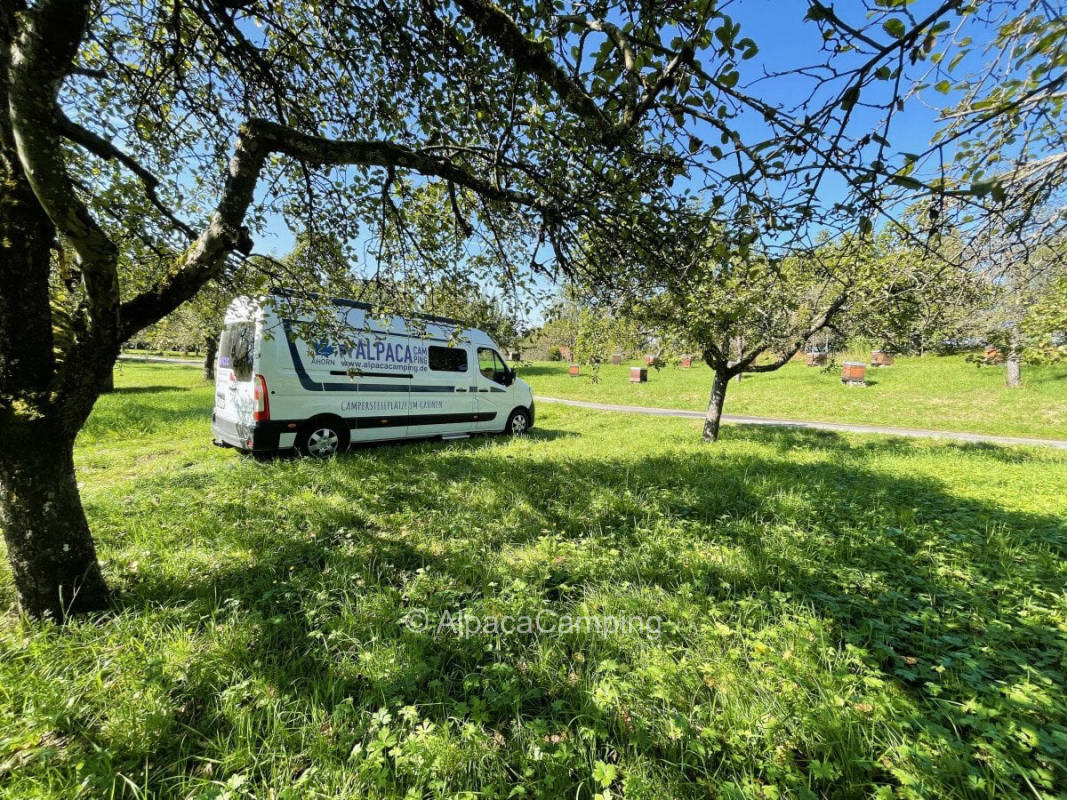 Organic orchard meadow Urbacher Idylle