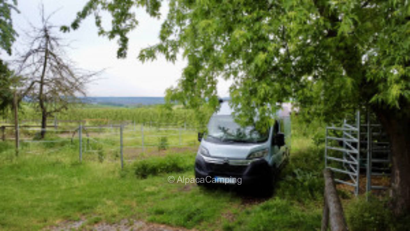 At the paddocks near the adventure park Tripsdrill