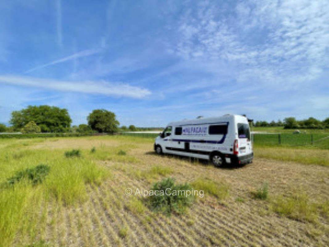 Ruhige Wiese mit Naturblick am Weingut #3