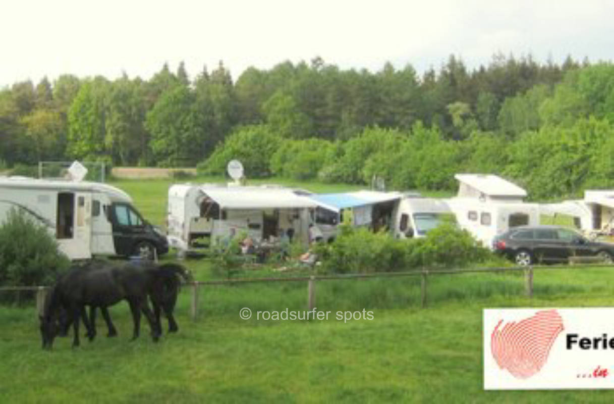 Vacation farm Nyenhuis