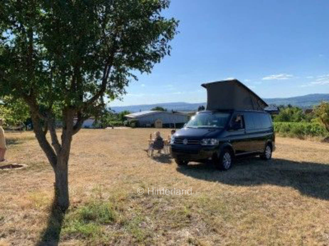 Zwischen Rheinblick und Weinbergen