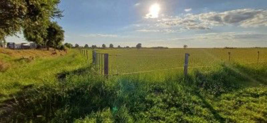 Timeout on the farm near Magdeburg