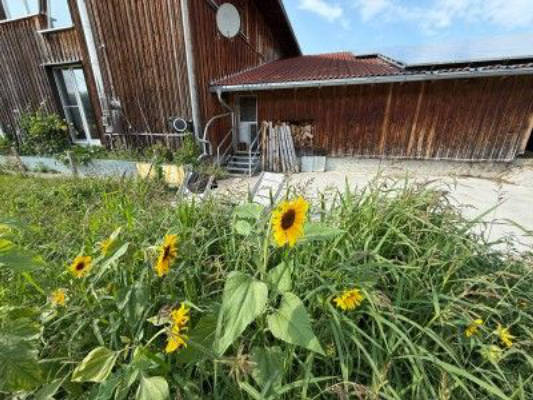 Ruhiger Stellplatz am Biohof mit Alpenblick