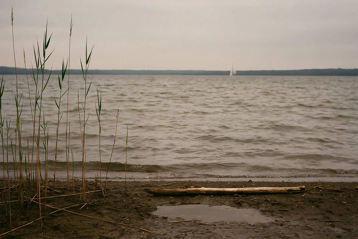 Der Oberuckersee – KI-generiertes Symbolbild