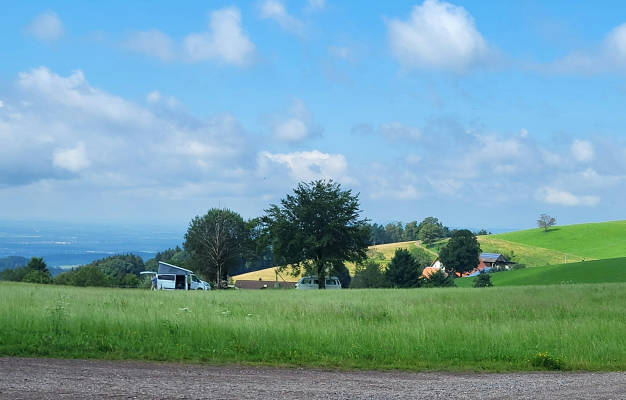 Auf der wiese am kandelhohenweg