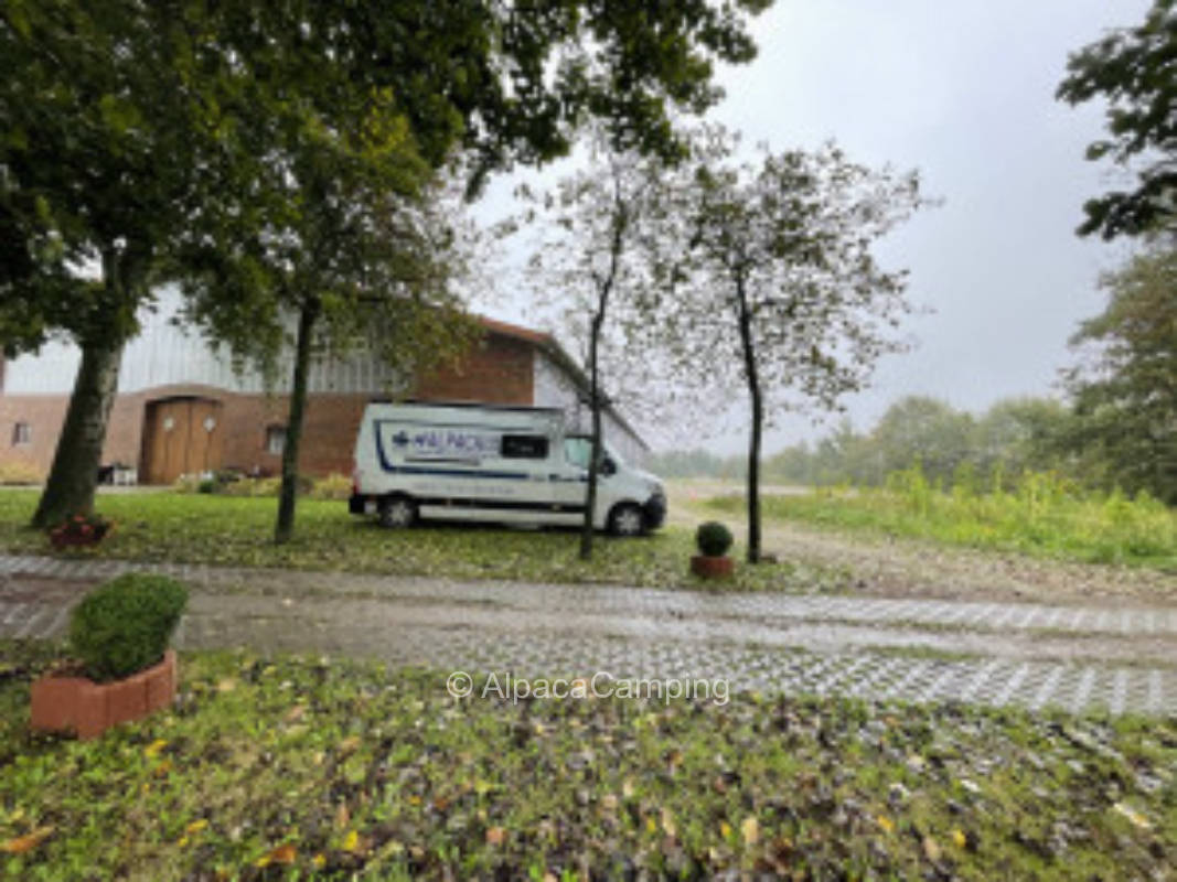 Horse farm North Frisia #1