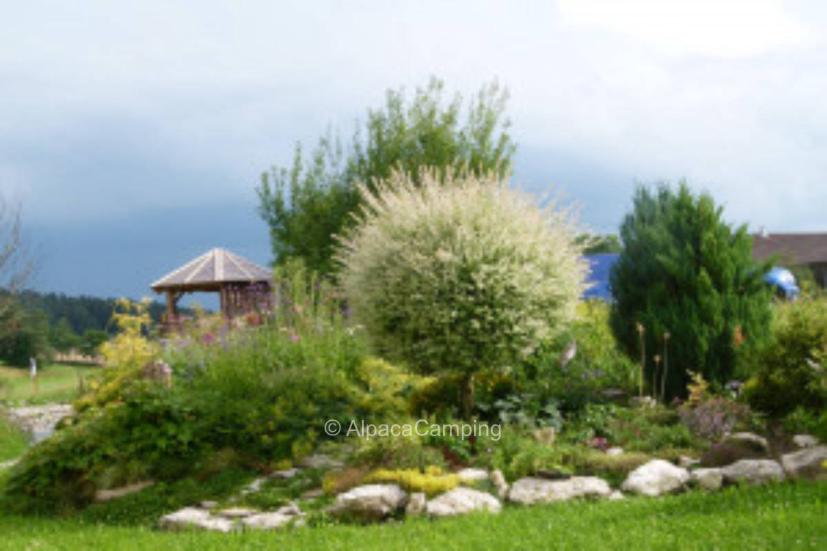 quiet pitch next to garden pavilion and garden pond #2