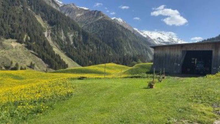 Camp near the Greina Plain