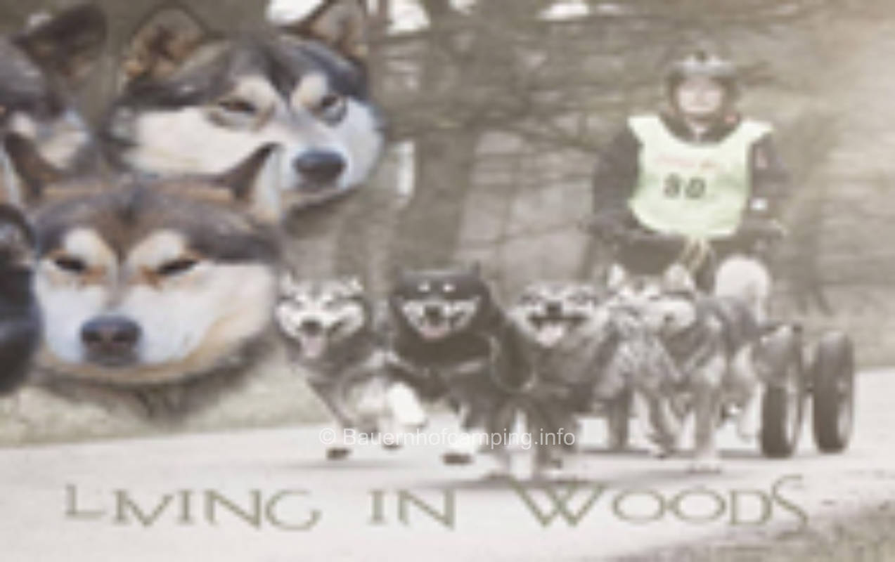Living in Woods