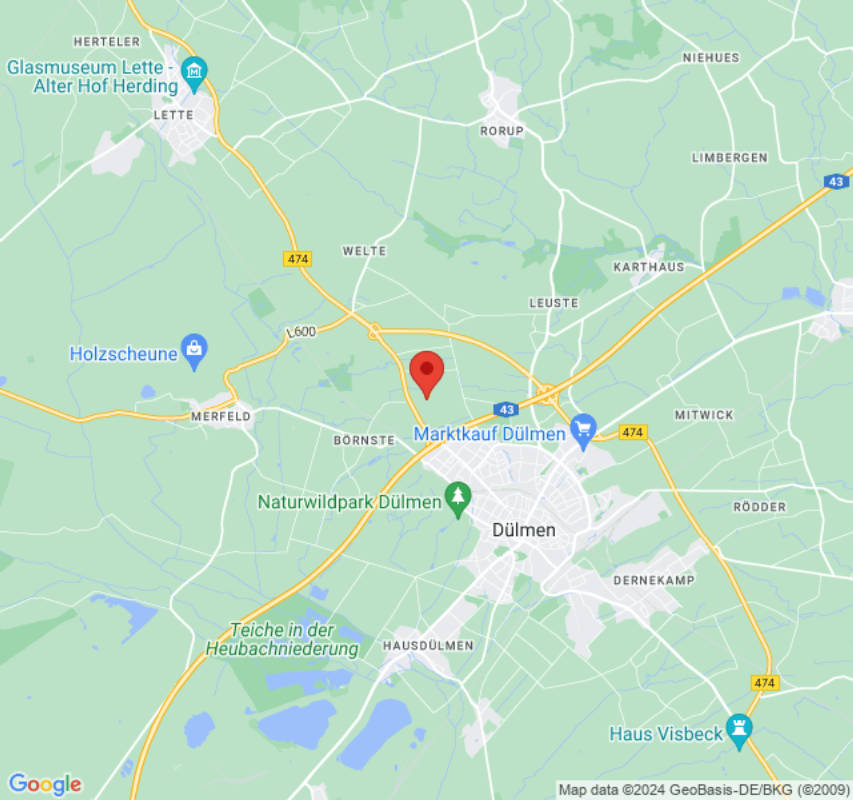 Stellplatz bei den Hochlandrindern