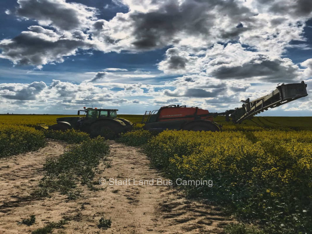 Mecklenburg County Pitch 2