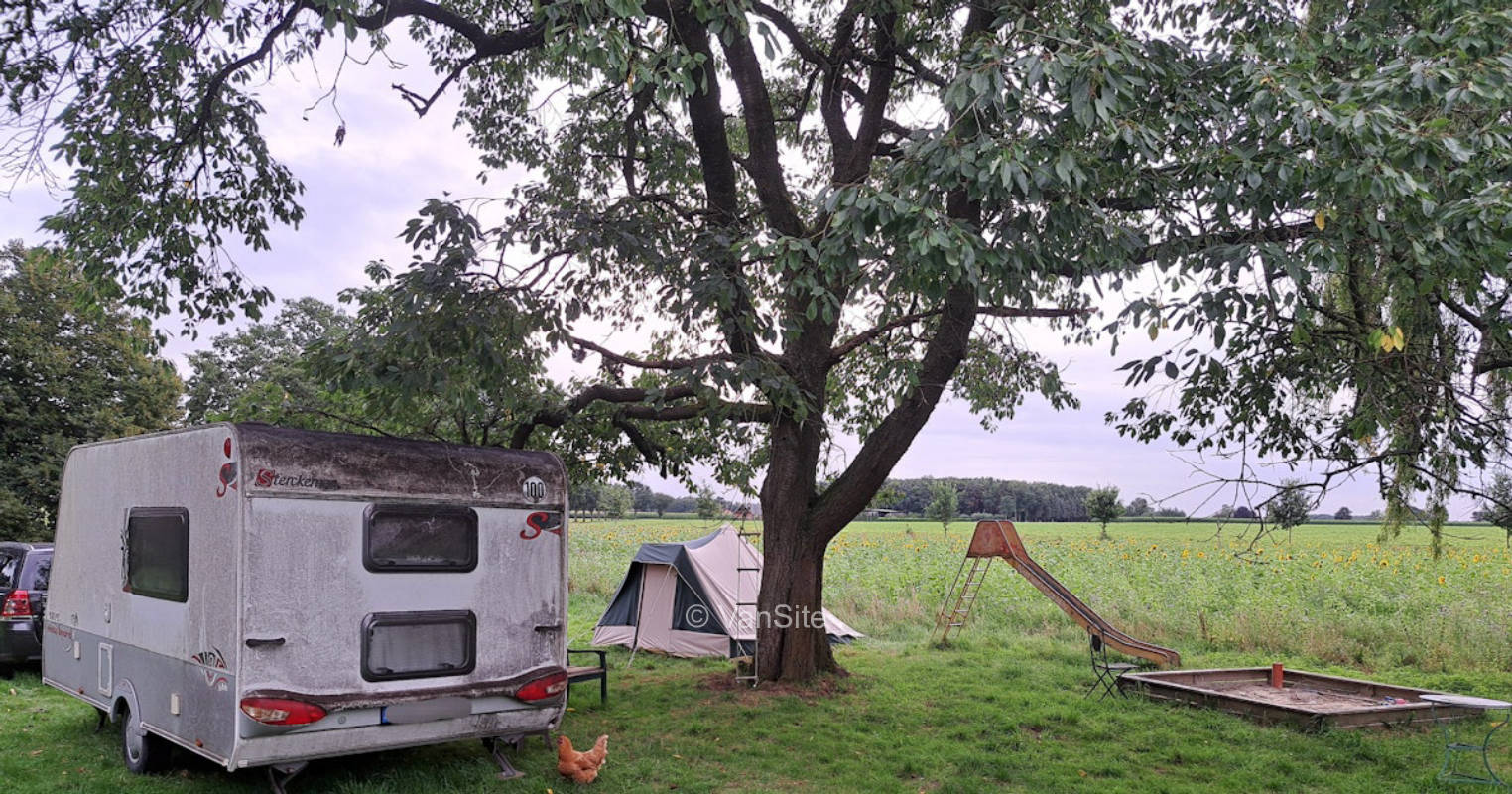Wiese unterm Kirschbaum mit Blick in die Felder