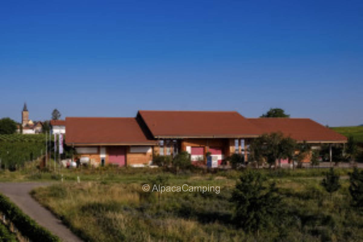 In Landau in der Pfalz #2