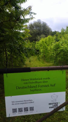 Platztyp für 6 Personen (Campspace 30662)