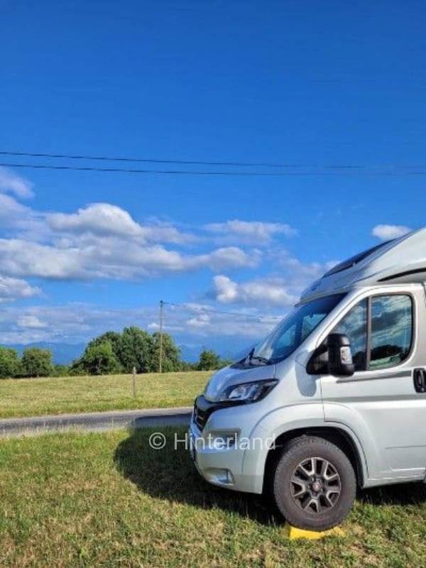 Mit Bergblick an der Alpakaweide in Oberbayern