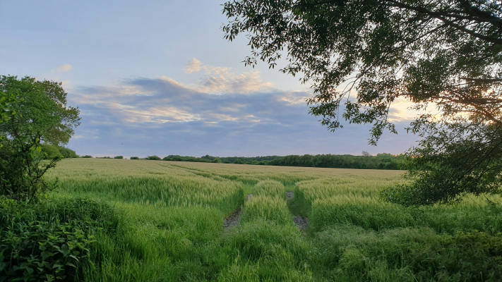 Overnight stay at the field's edge