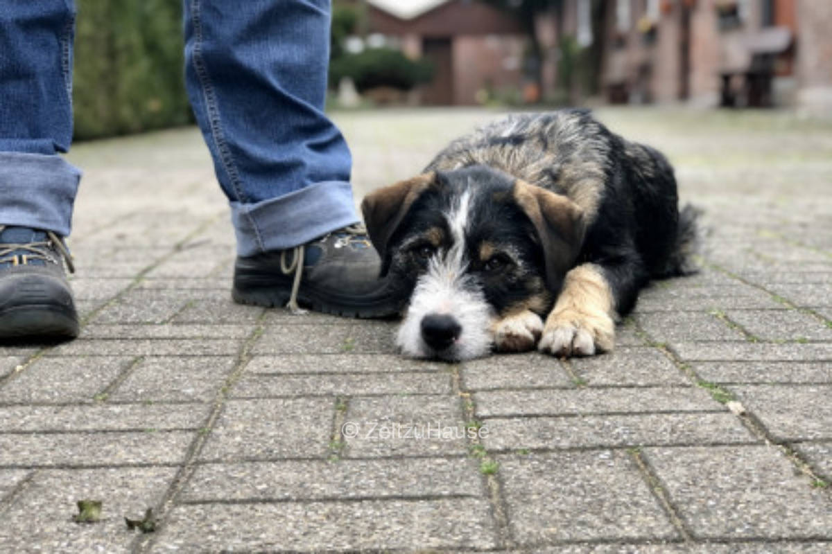 Stellplatz auf idyllischem Bauernhof