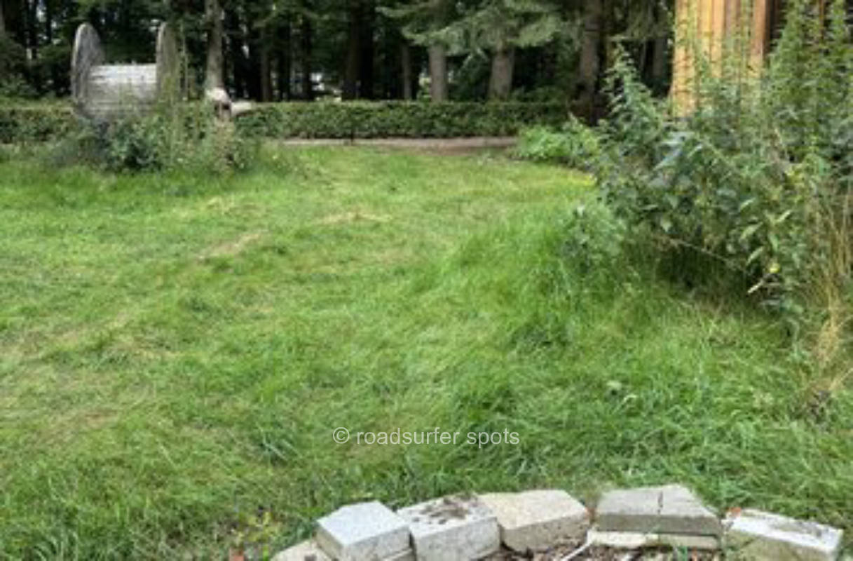 Kleiner Waldplatz in Nordseenähe