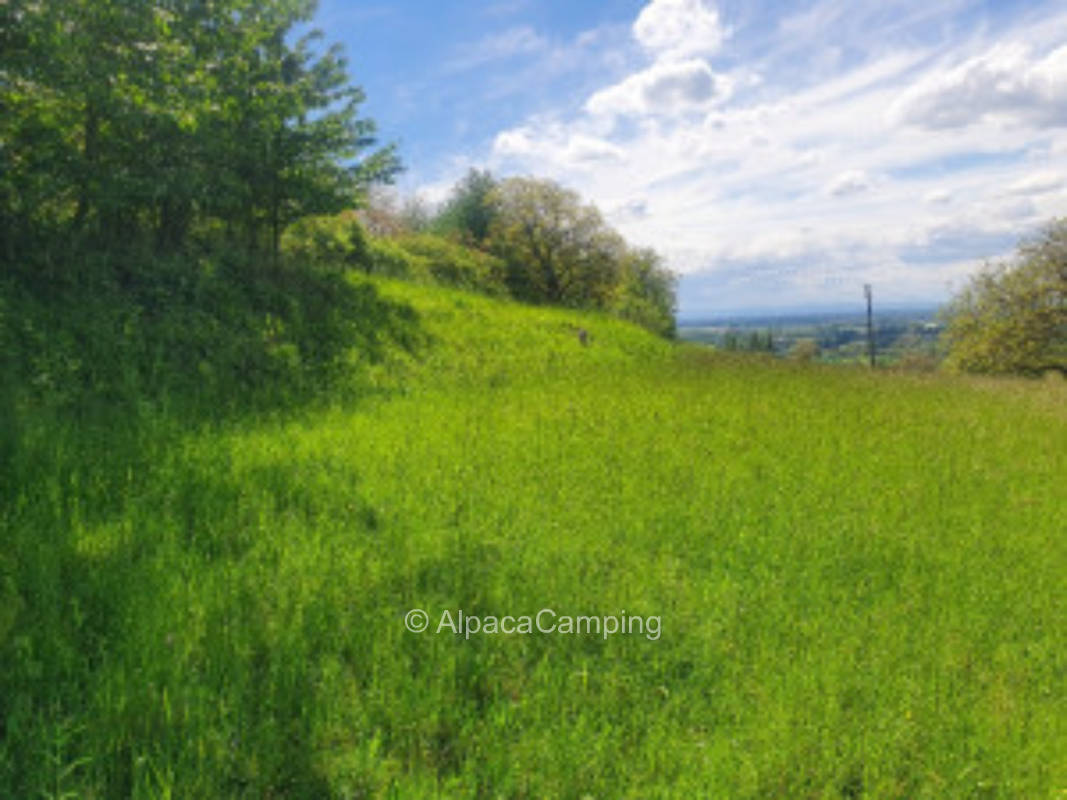 Far view and quiet rest in the side valley on the mountain road 1#.