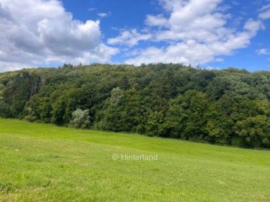 Naturcamping am Bauernhof in der Vulkaneifel