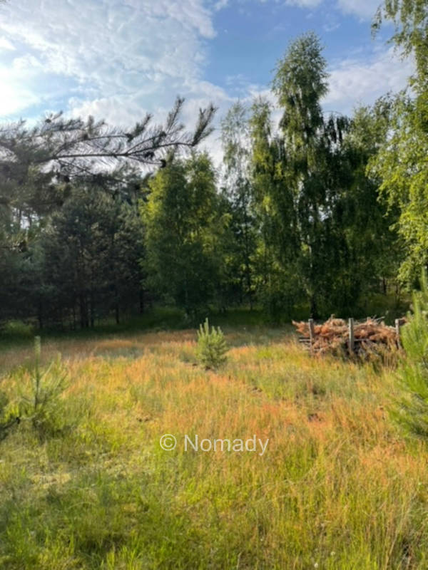 Der wilde Garten