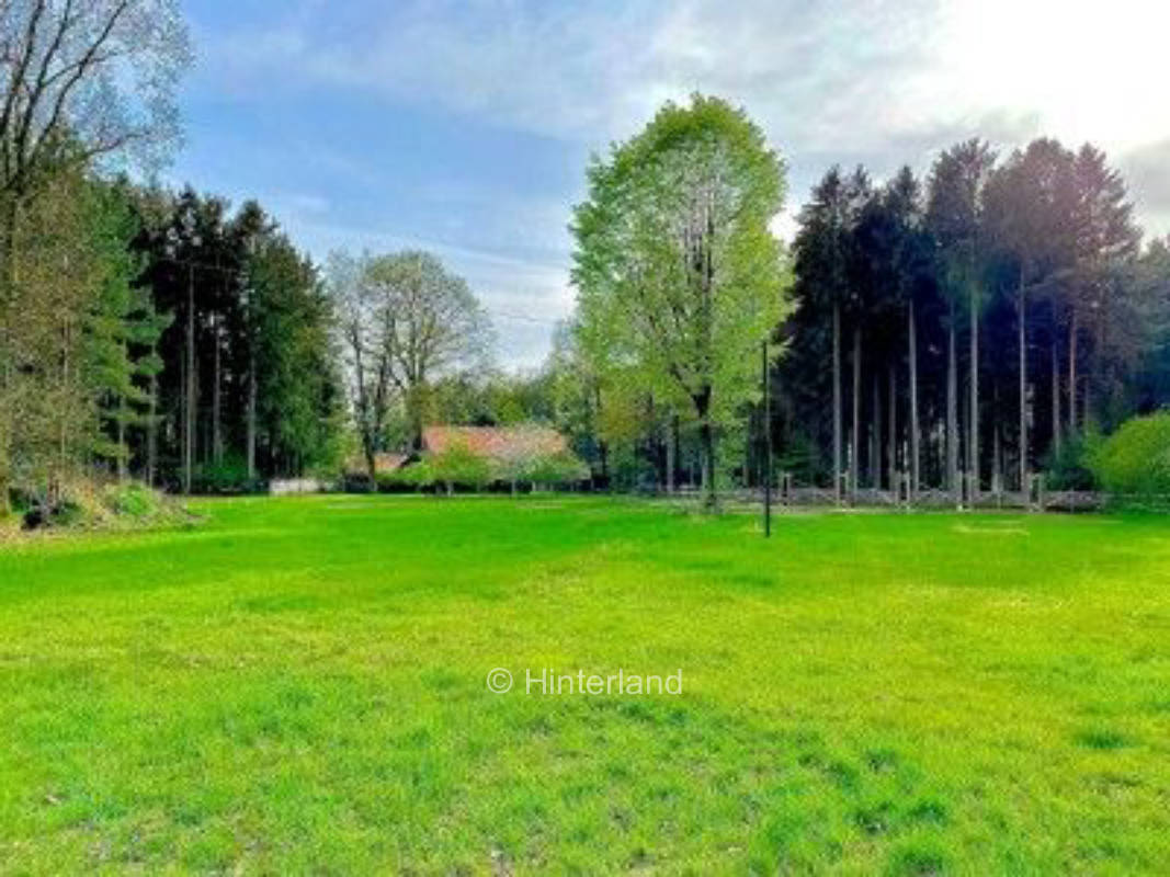 Geheimtipp: Idyllischer Stellplatz im Grünen