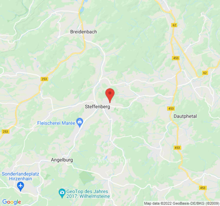 Meadow near forest edge