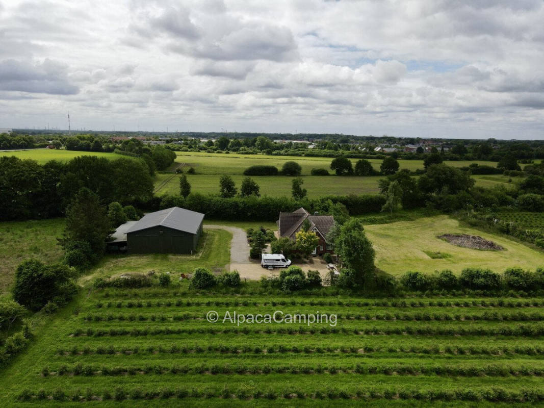 At the farm near the Baltic Sea #1