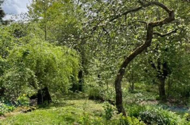 Campingoase in ruhigem Garten