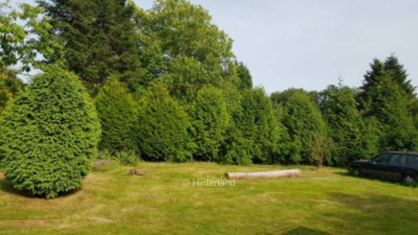 Place directly on the field and 50 m from the forest