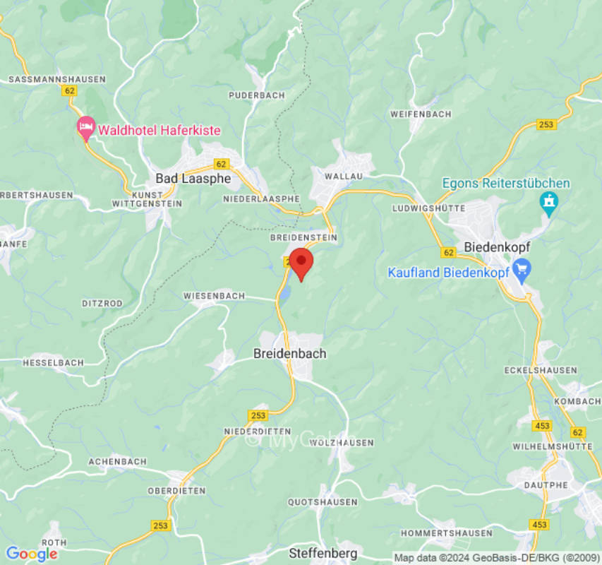 Schwanennest mit Ausblick auf den See