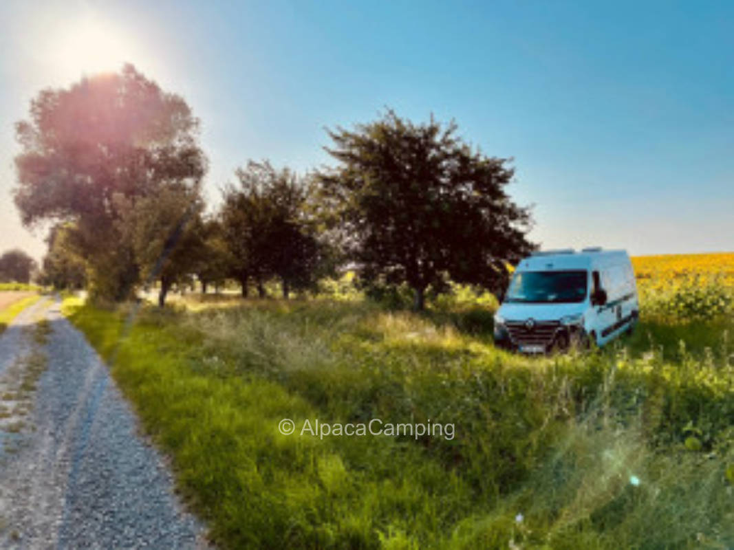 Obstwiese am Steigerwald #2