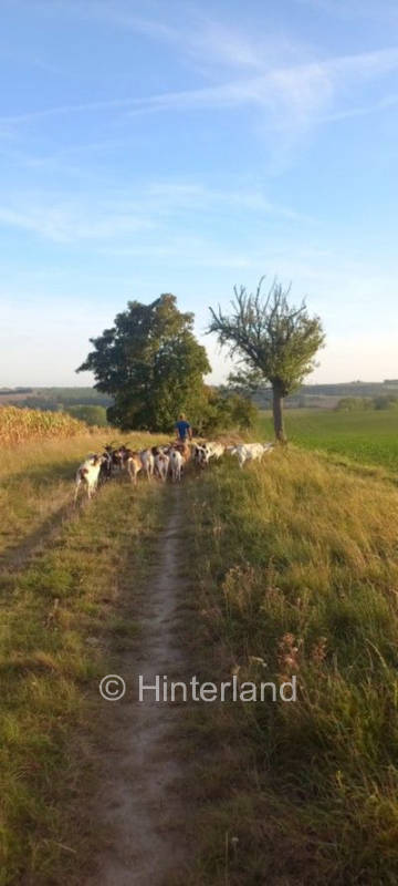 Am schönsten Fleck der Welt auf dem Ziegenhof