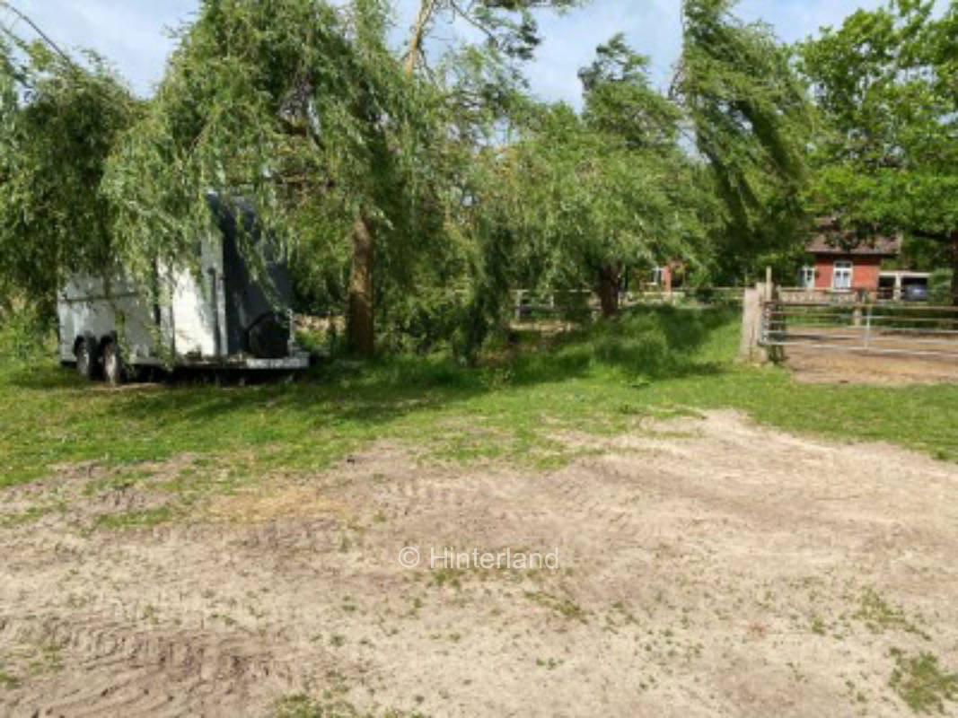 Pitch in nature on the meadow or in the forest