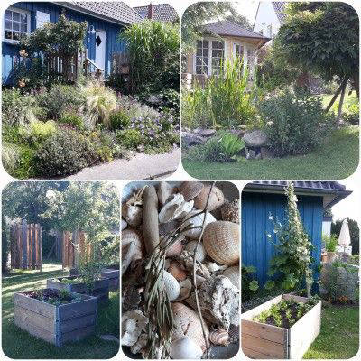 Home in the wild romantic garden