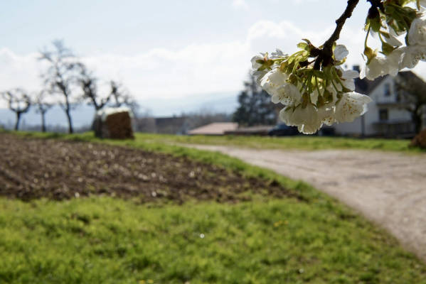 Campen nahe laufenburg