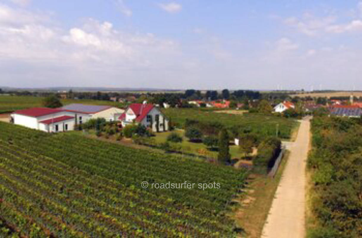 Camping am Weingut Kiefer