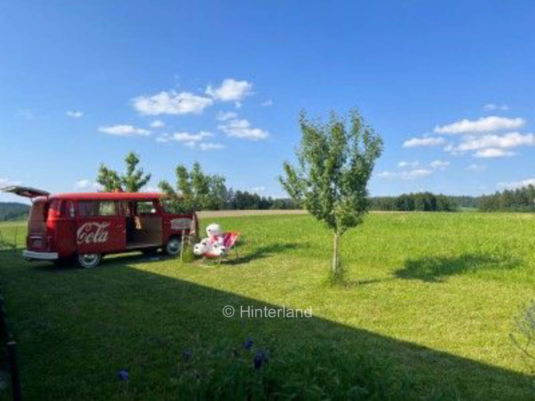 Schöne Wiese mit Obstbäumen am Biberweg