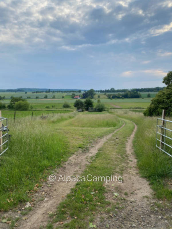 Naturcamping mit Sundowner, Lagerfeuer und Eisvogel #2